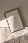 https://newlivingdesigns.com/