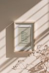 https://newlivingdesigns.com/