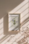 https://newlivingdesigns.com/