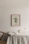 https://newlivingdesigns.com/