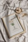 https://newlivingdesigns.com/