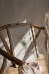 https://newlivingdesigns.com/
